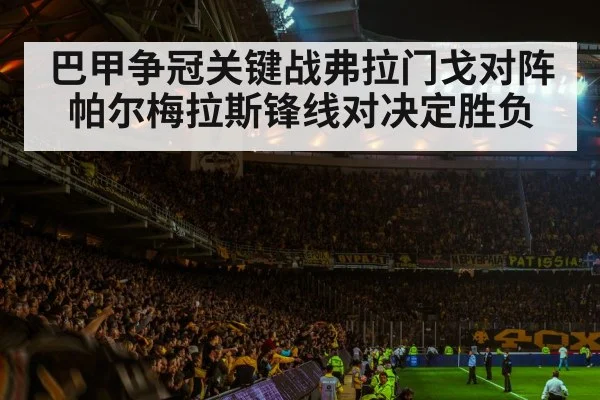 soccer stadium crowd night